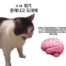 미주모터스 | June-.