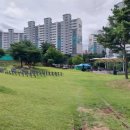 호미골체육공원 이미지