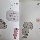 엘리펀트 이미지