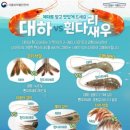 언니네해물손칼국수 이미지