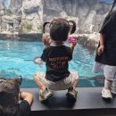 폴개네제주드림캠프 | [25제주 여름방학 영어캠프] 후기 - 제주 바다 옆에서 피어난 아이들의 리더십과 따뜻한 유대감!