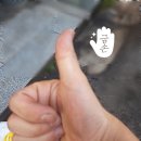 에코시스템 미가