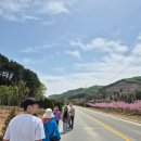 사정1리 이미지