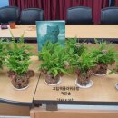 경기도 송탄보건소 이미지