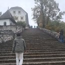 동호수산 | [동유럽] 블레드 호수 관광 후기~!