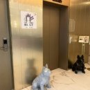 에이치에비뉴정관점 이미지