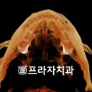 조영제치과의원 이미지