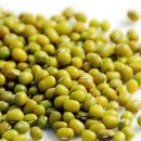 녹두한의원 이미지