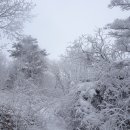 (주)몸부림 이미지