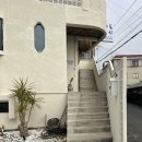 알로하제주스테이 | 제주도 여행 / 제주도 숙소 / 제주 에어비앤비 / 알로하제주스테이 / 알로하 제주 / 제주 숙박 추천