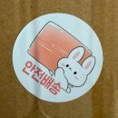 야후서적 | 사루와 5번째 이용후기 ✈️