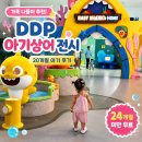 24 guesthouse 동대문마켓점 | DDP 아기상어 전시 두돌 미만 무료 후기, 주말 오픈런 2시간 기다릴 가치 있을까?
