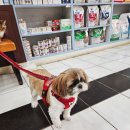 두리동물클리닉 이미지