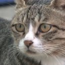 여성공인중개사사무소 이미지