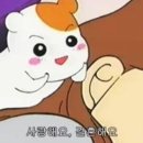 정결 - 강동구 | 정결