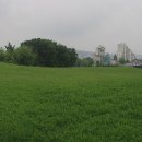 긴고랑지구 이미지