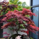 정은농장 이미지