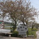 양월2리 이미지