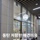 금동살롱 이미지