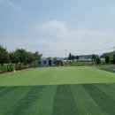 족구장 앞 이미지