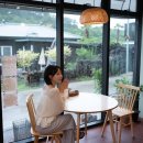 벨라유나 이미지