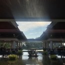 세레니티문 | 프라이빗한 푸켓 풀빌라 반얀트리 세레니티 객실 후기, 자전거 대여 꿀팁 , 조식, 수영장 , 룸서비스