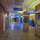 15 | 광교 CGV 울트라 4DX관 기능 D열13 14 15 시야 후기 호프영화스포x