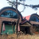 카페(cafe) 다시올