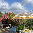 강동로3-18 이미지