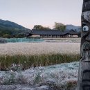 승도농장 네이버블로그