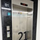 정자현대동물병원 이미지