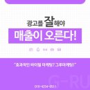 시너지바이럴