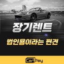 부부카부분정비 | 장기렌트는 법인용이라고요? 카페이는 2030이 더 많이 이용합니다