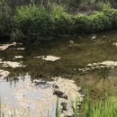 만천천길 이미지