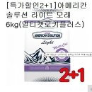 캣솔루션 이미지
