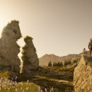 주식회사 더소울 이미지