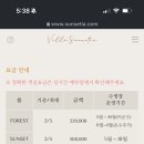 선셋티아 이미지