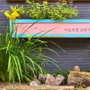 삼척내고향탄광촌문화협동조합 | 고한읍, 탄광촌에서 관광촌으로