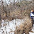 의신 베어빌리지 이미지