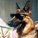 리치동물병원 이미지