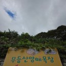 화순목장 | 화순 무등산양떼목장 솔직한 후기