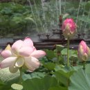 용성3길 이미지