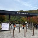 지에스25원앙베스트점 | [광주] 곤지암 화담숲 가을 단풍 축제 (2024년 10월 25일 후기)