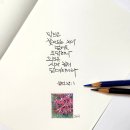 색연필 붓펜 그림 손글씨 이미지