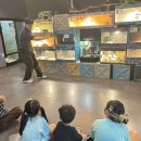 애니멀 체가 이미지