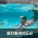 웅진플레이도시 | 부천 웅진플레이도시 워터파크 할인 스파 준비물 방문후기:)