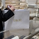 준 소프트 | ⛧ 디올 소프트 카로 은장 스몰 | 언박싱 및 착용샷 실사용 후기