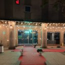 숲모텔 | 기흥 깔끔한 호텔 모든 객실 숲뷰인 숲호텔 솔직 후기 에버랜드근처숙박 추천