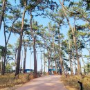 신암면052 이미지