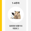 떳다노래방 | 우리의 낭만은 하나뿐인 꽃말이 될 거야
